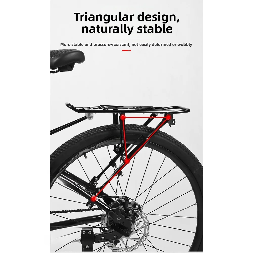 Portaequipajes trasero para bi - Cargo Rack Aluminum reseña y precio